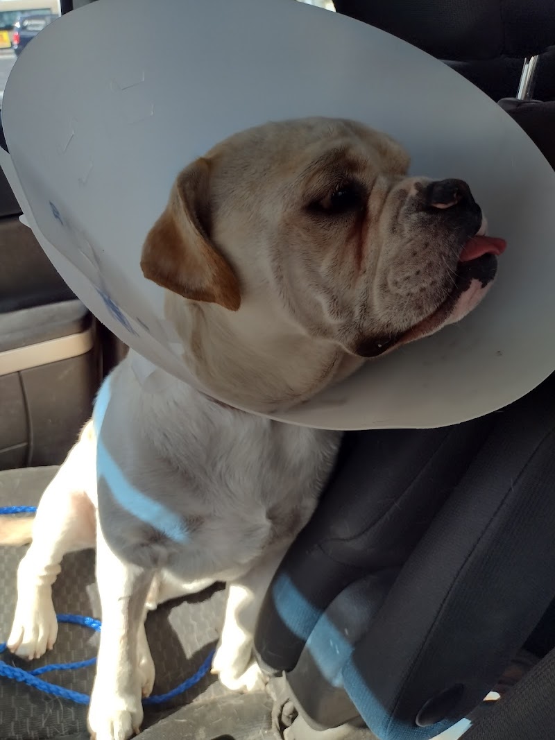 Tropicana Animal Hospital