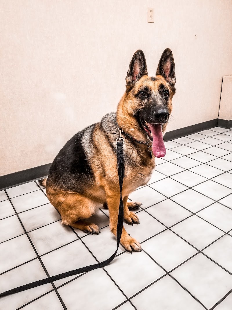 Tropicana Animal Hospital photo 2