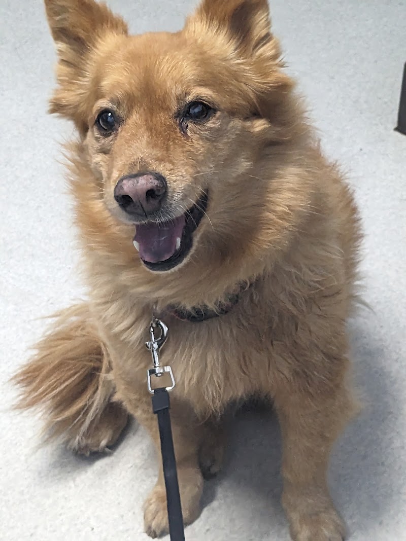 Tropicana Animal Hospital photo 3