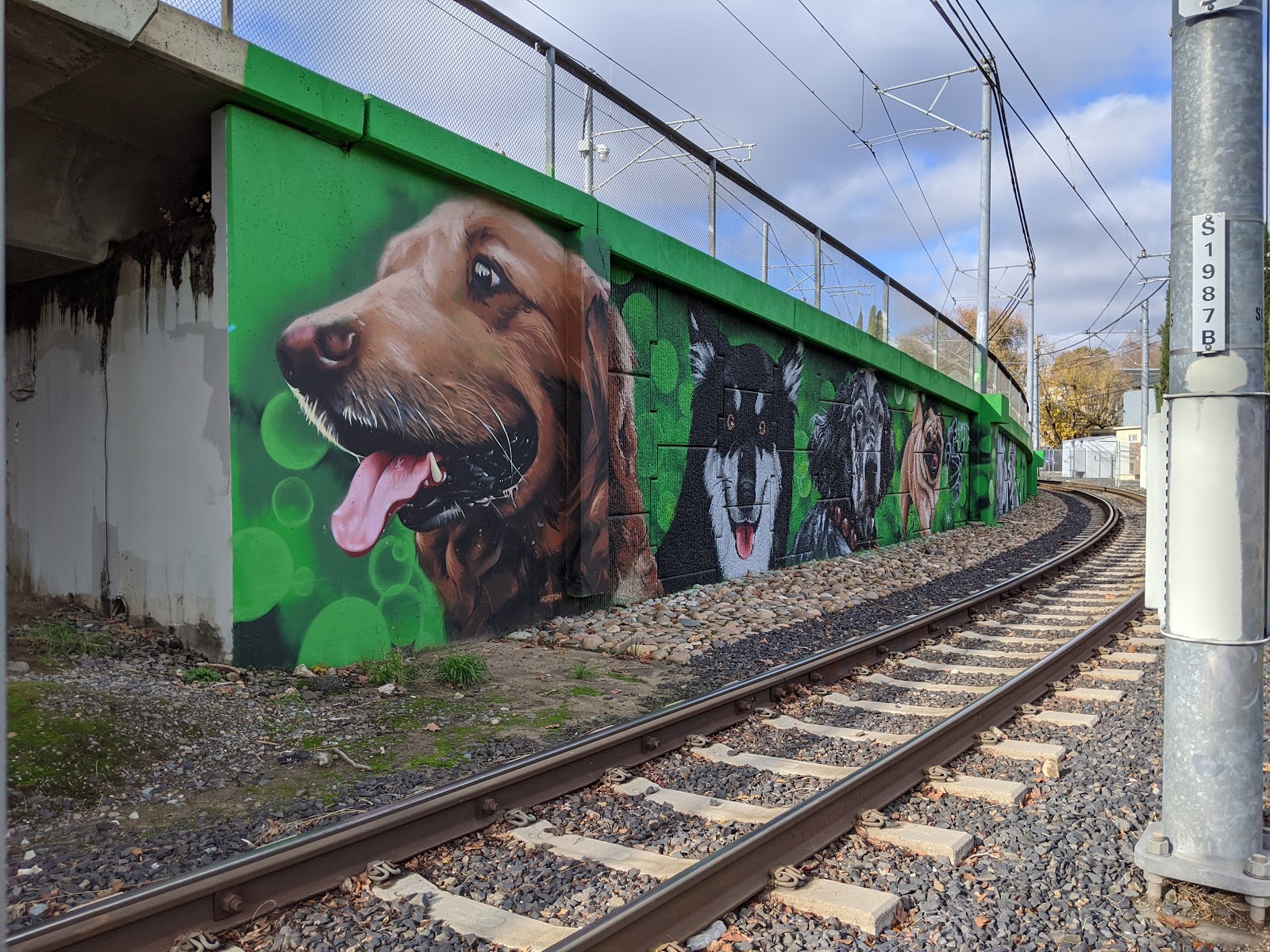 Truitt Bark Park
