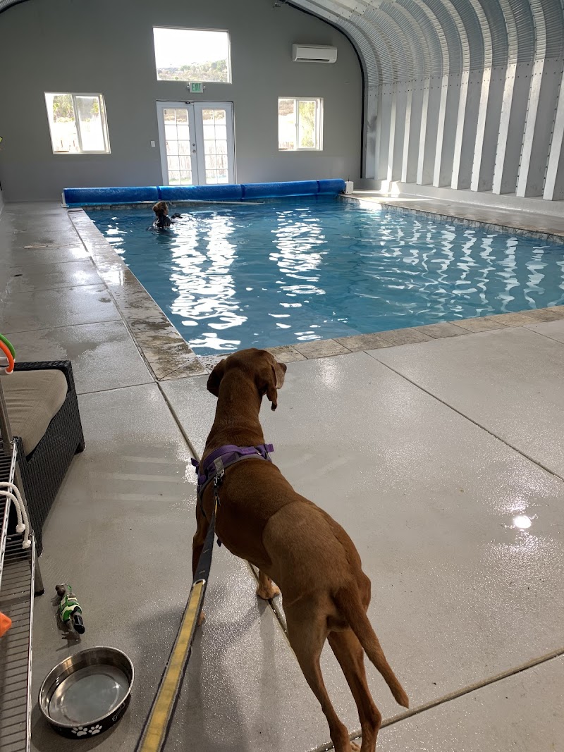 Tsavo's Canine Rehabilitation in San Diego County photo 2