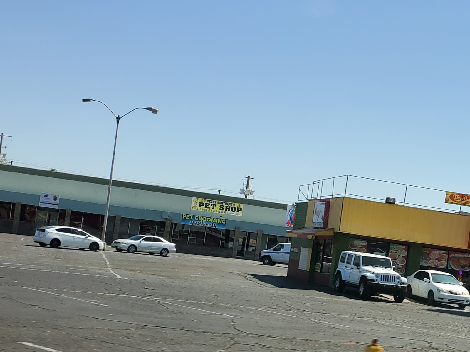 Tweety Brothers Pet Shop