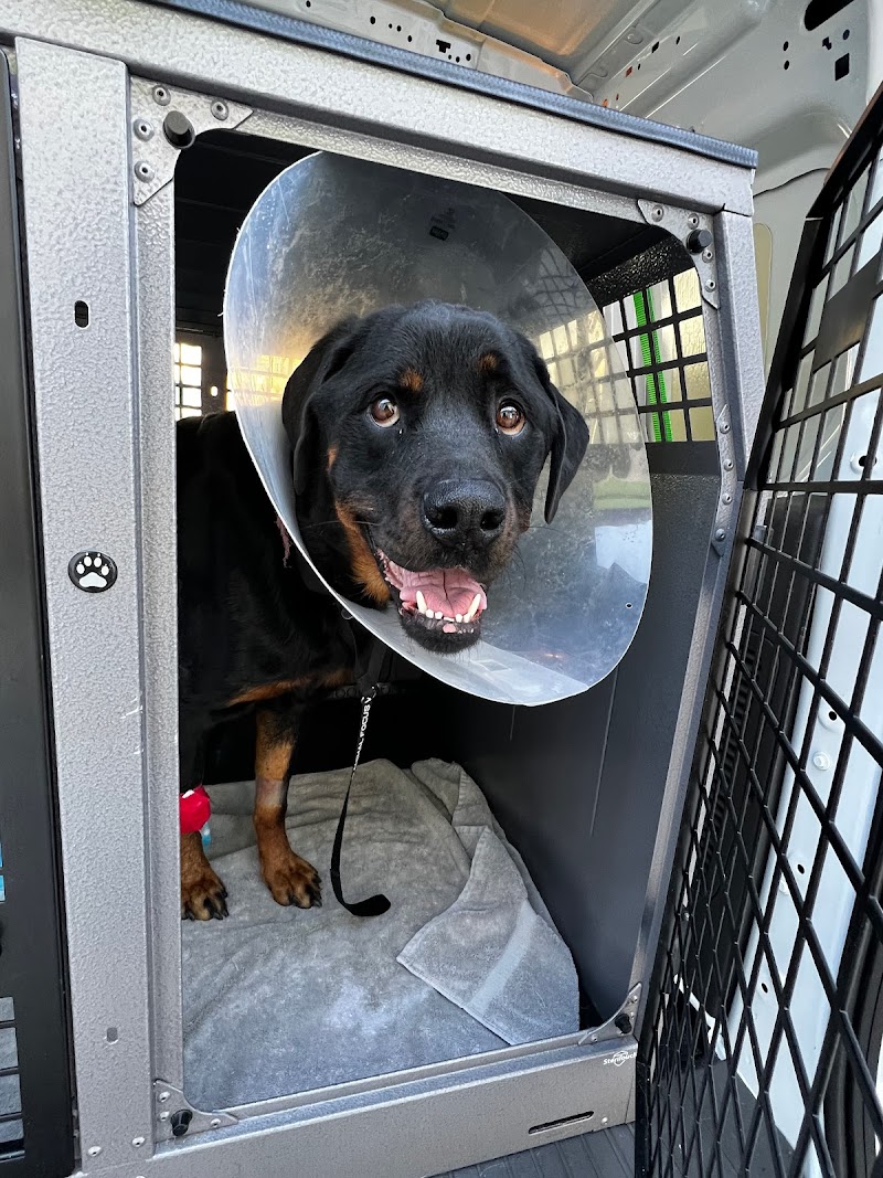 Two By Two Pet Support photo 3