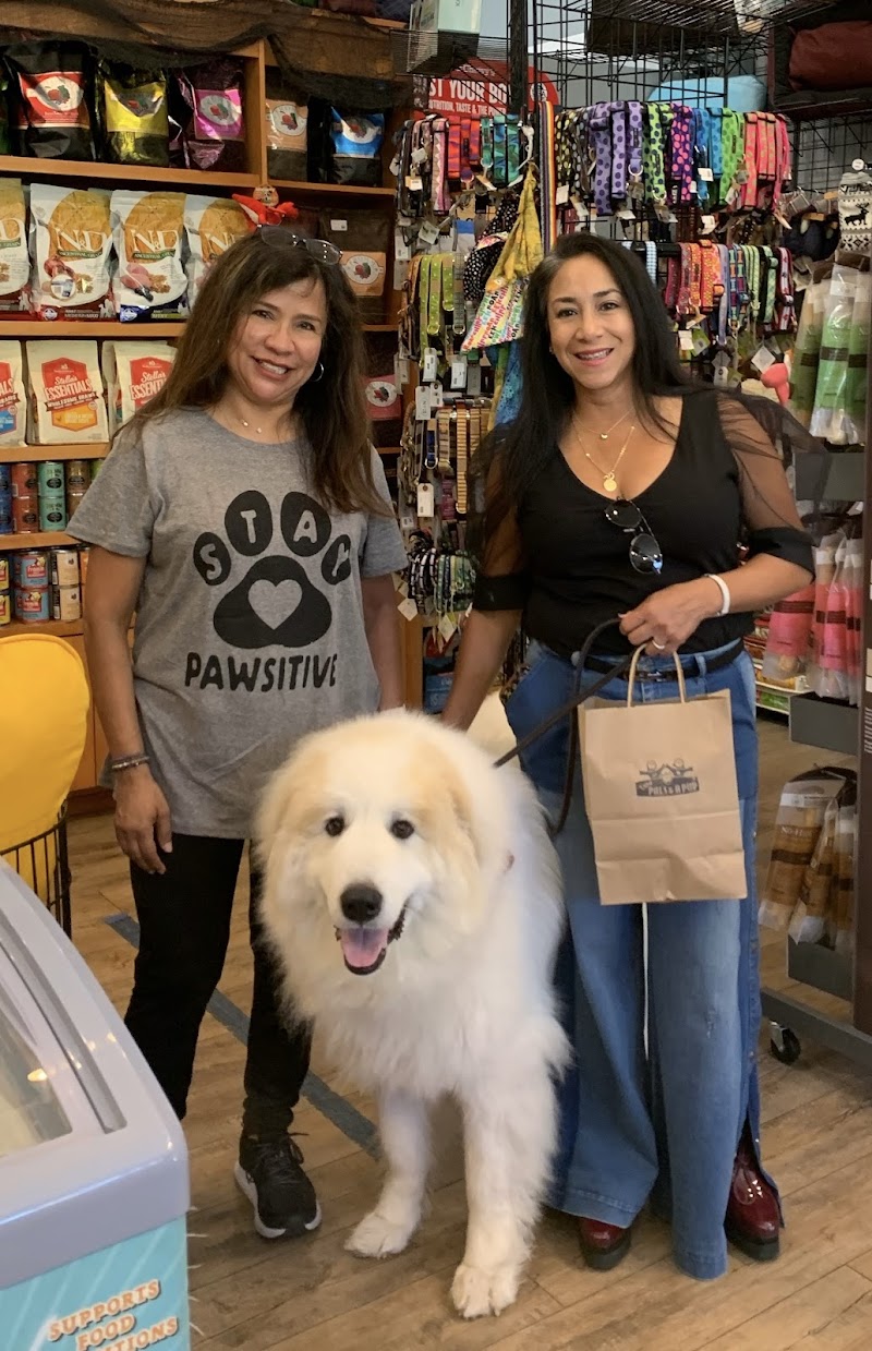 Two Pals & A Pup photo 2