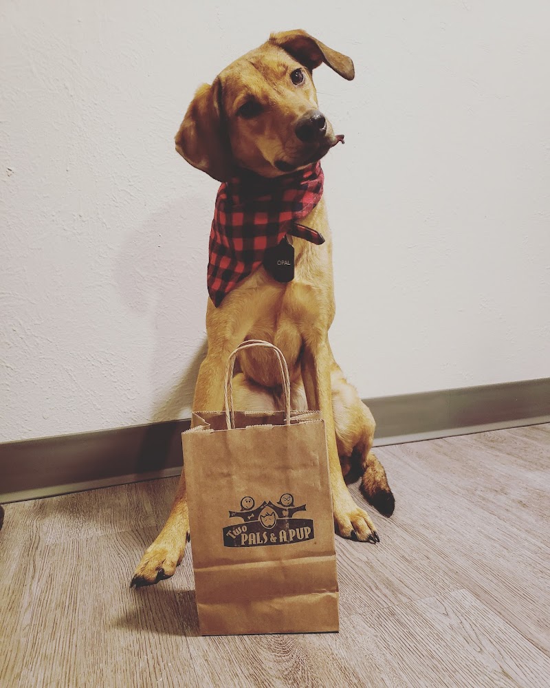 Two Pals & A Pup photo 3