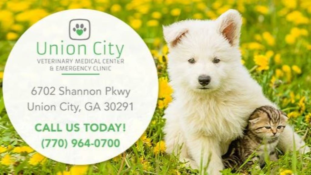Union City Veterinary Medical Center & Emergency Clinic