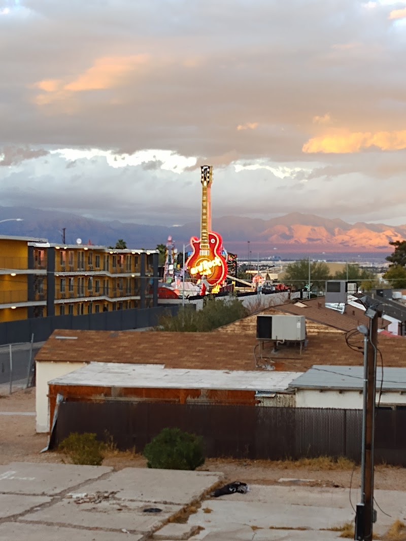 United States Veterans