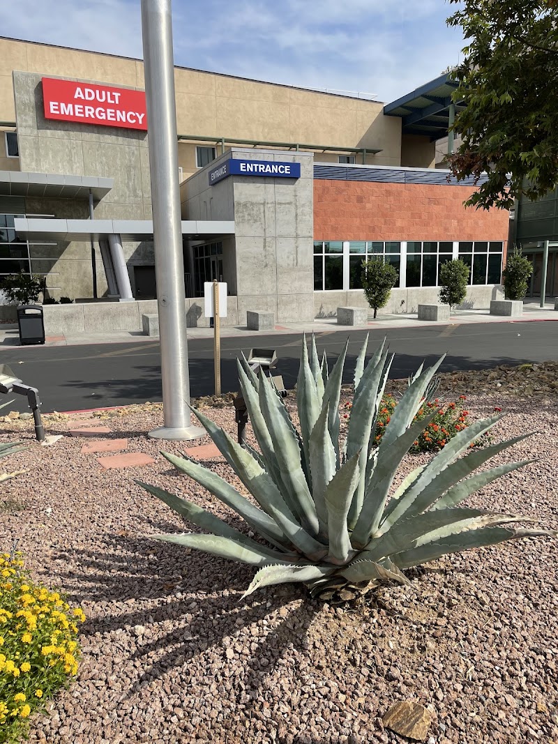 University Medical Center Adult Emergency Room photo 2