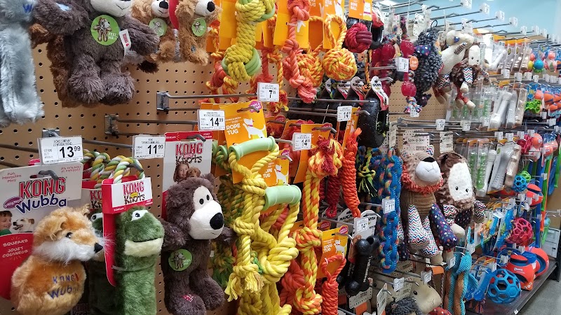 Unleashed by Petco photo 2