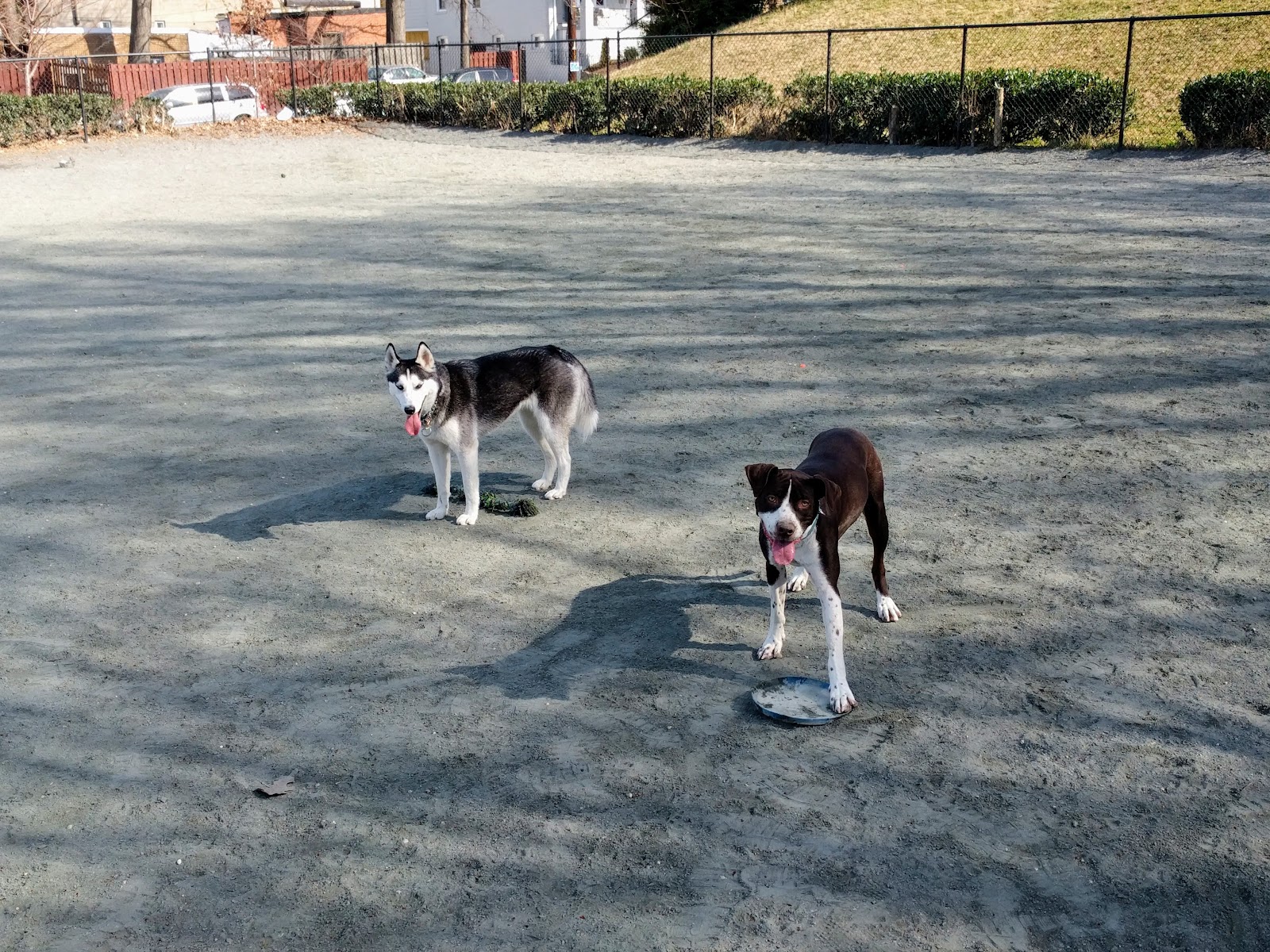 Upshur Dog Park