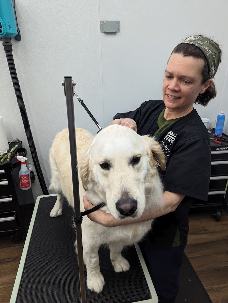 Urban Dogg Uptown photo 3