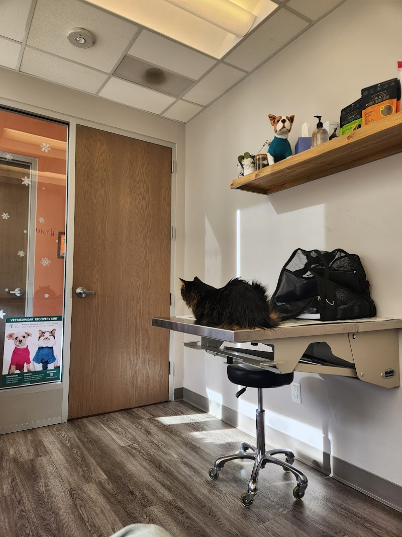 Urban Paw Veterinary Health and Rehabilitation photo 3