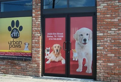 Urban Paws