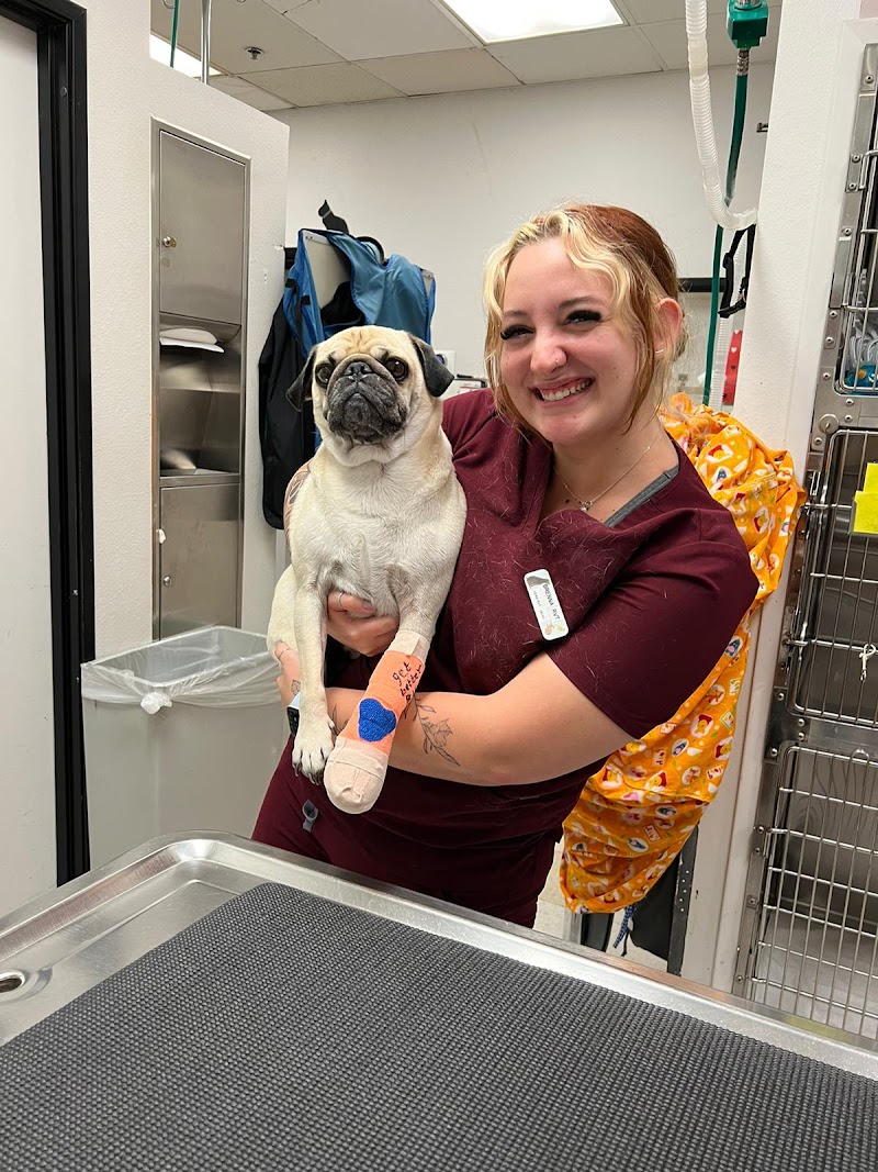 Urgent Care Pet Clinic