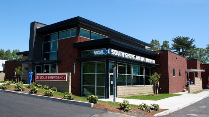 VCA South Shore Weymouth Animal Hospital