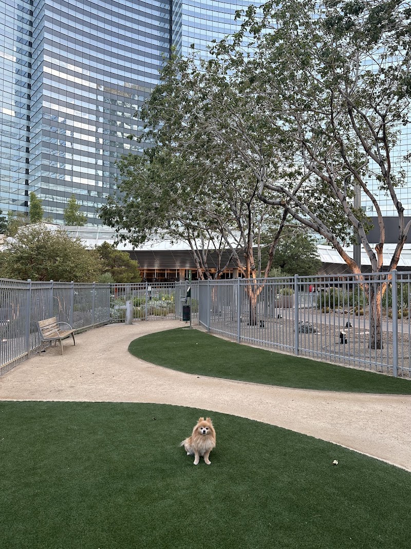 Vdara Dog Park🐕