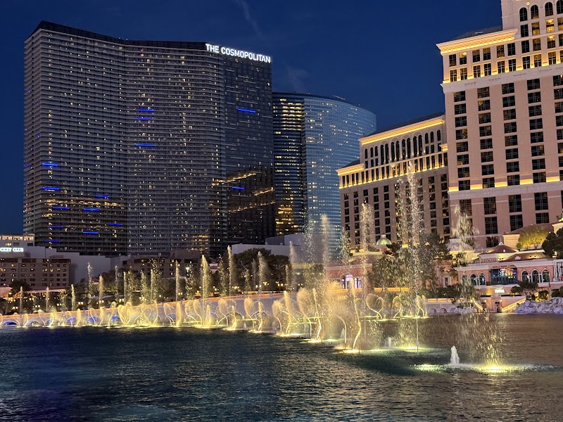 Vdara Dog Park🐕 photo 3