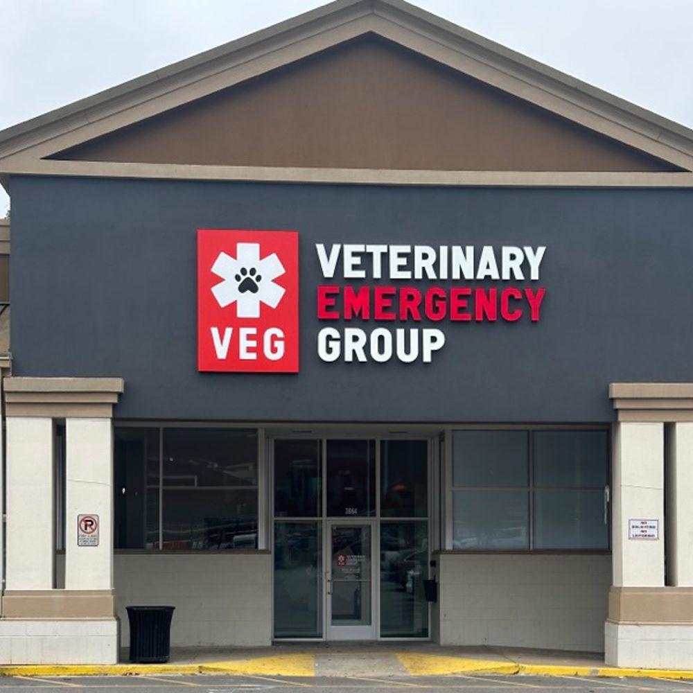 VEG ER for Pets