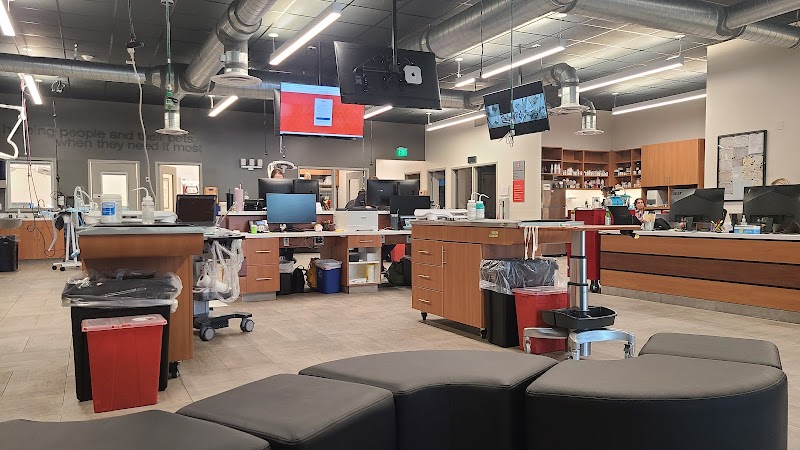 VEG ER for Pets photo 2