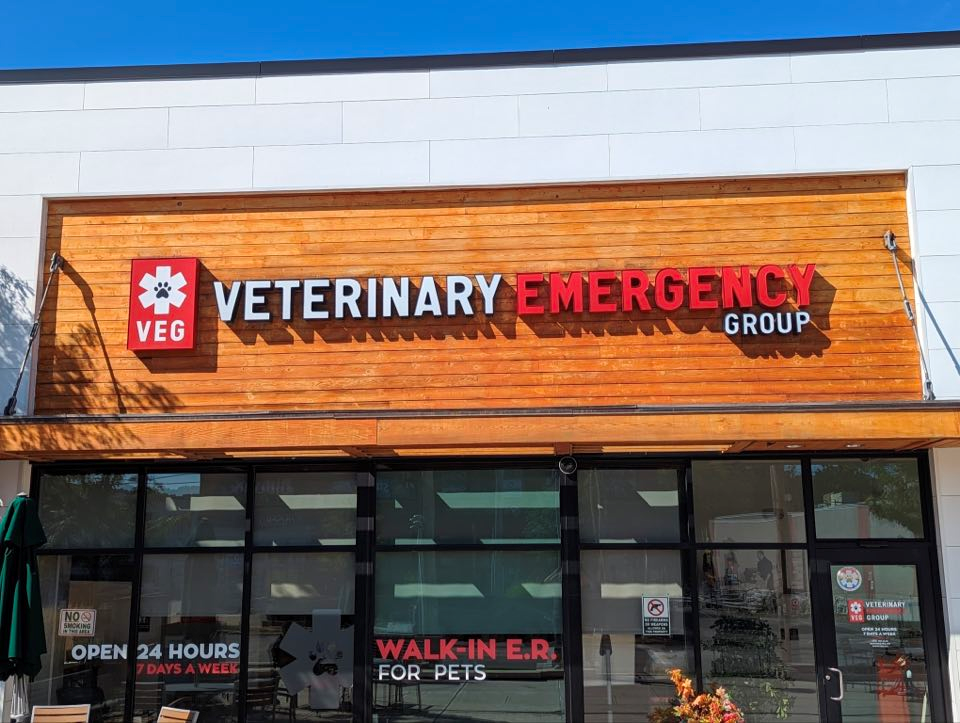 VEG ER for Pets