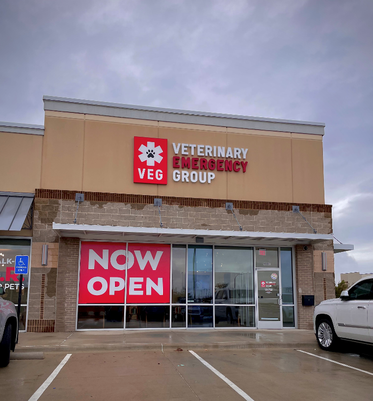 VEG ER for Pets