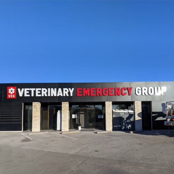 VEG ER for Pets
