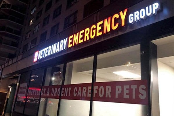 VEG ER for Pets