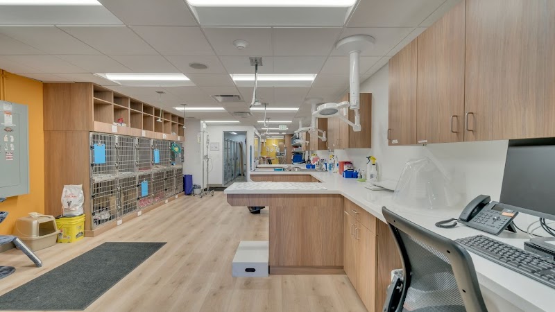 VetCare Animal Hospital