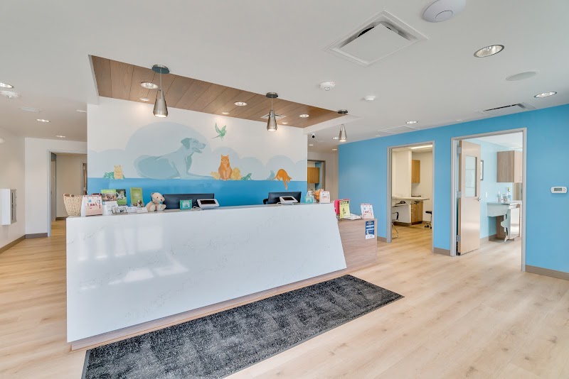 VetCare Animal Hospital photo 2