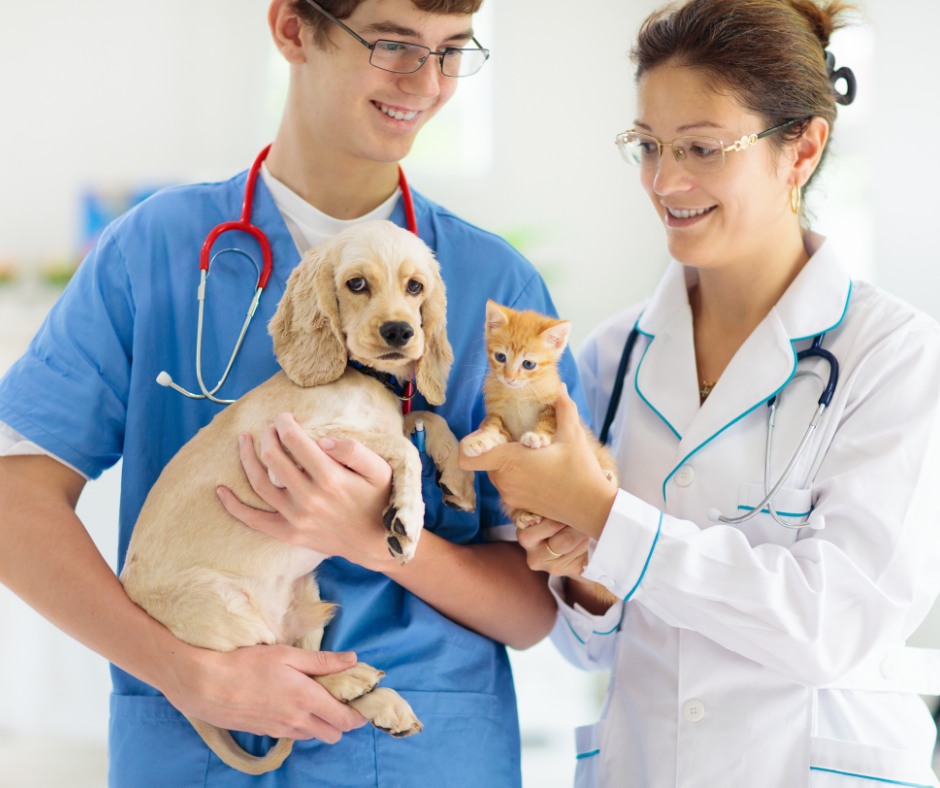 Veterinary Emergency, Critical Care & Referral Center