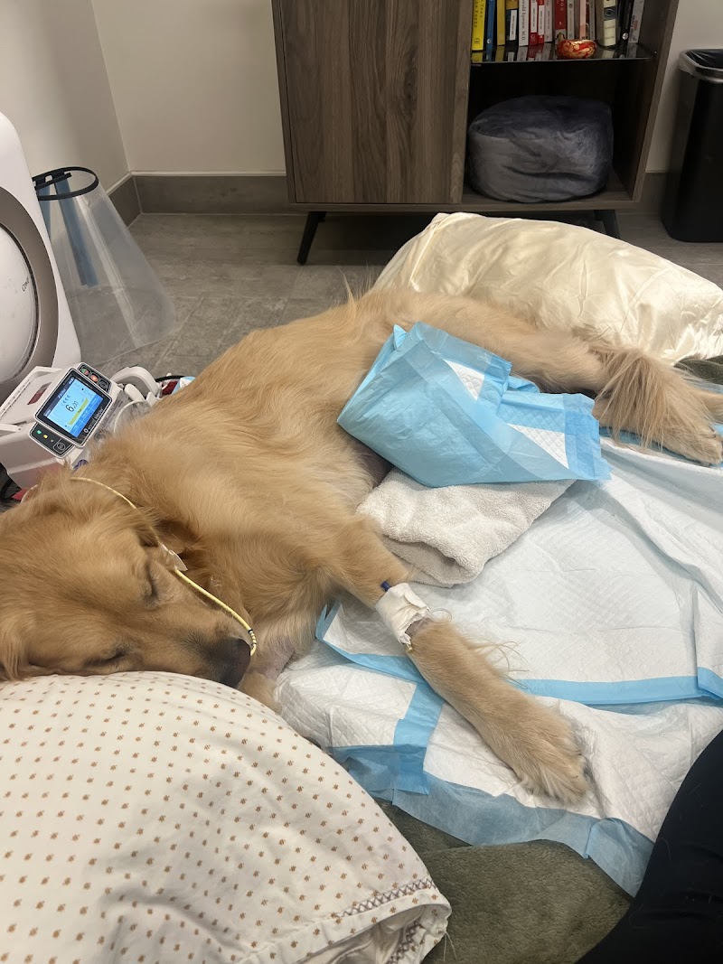 Veterinary Emergency Group photo 2