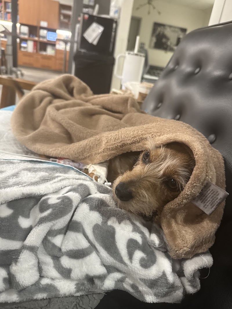 Veterinary Emergency Group photo 3