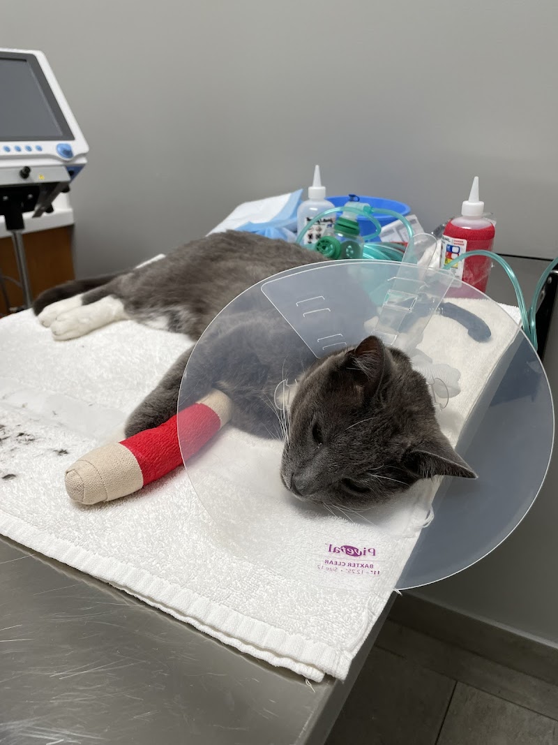 Veterinary Emergency Group photo 3