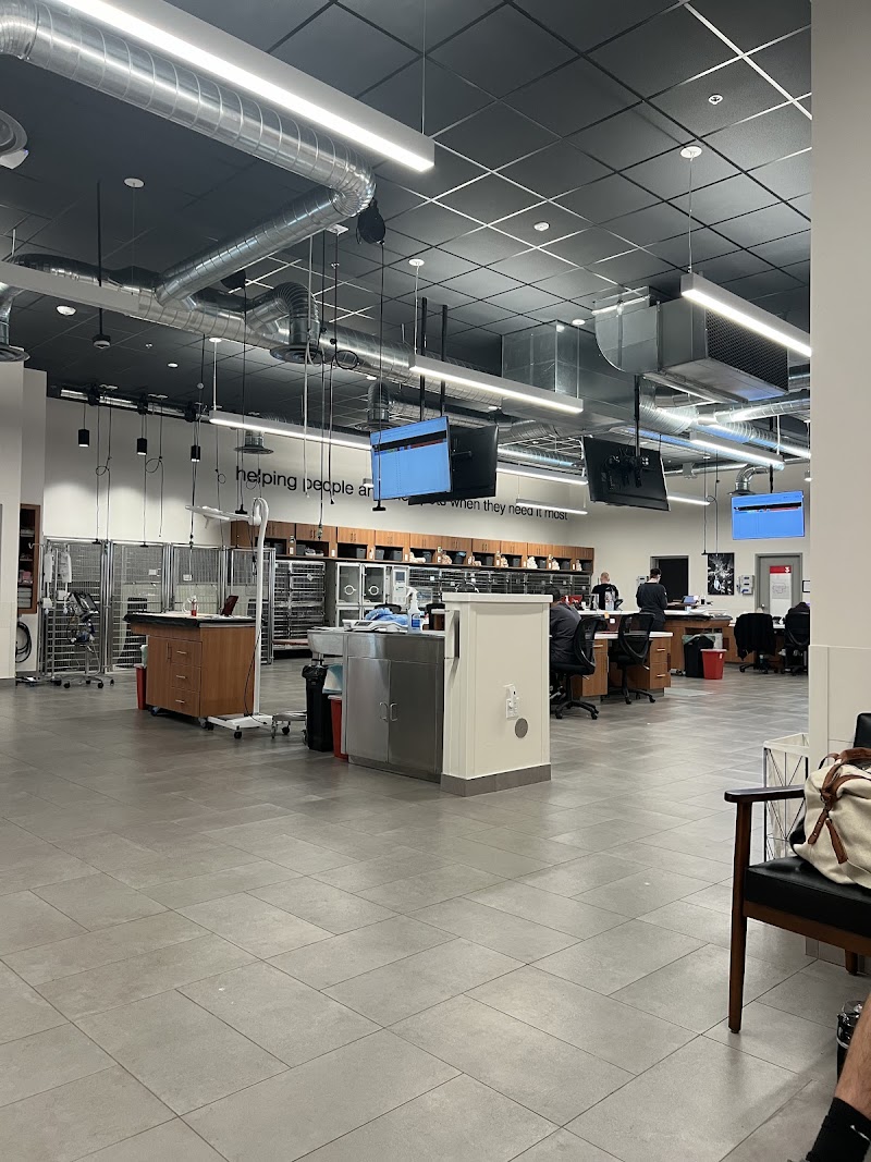 Veterinary Emergency Group photo 3