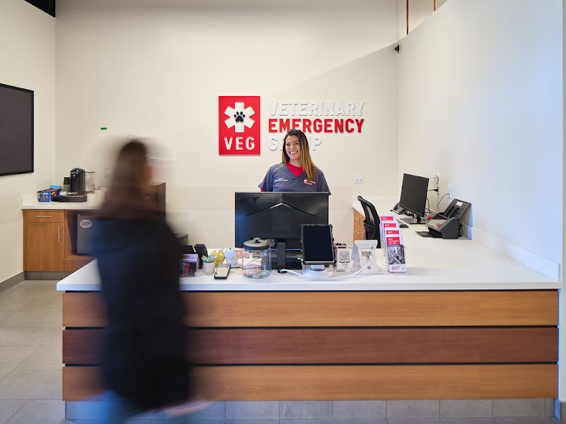 Veterinary Emergency Group photo 2