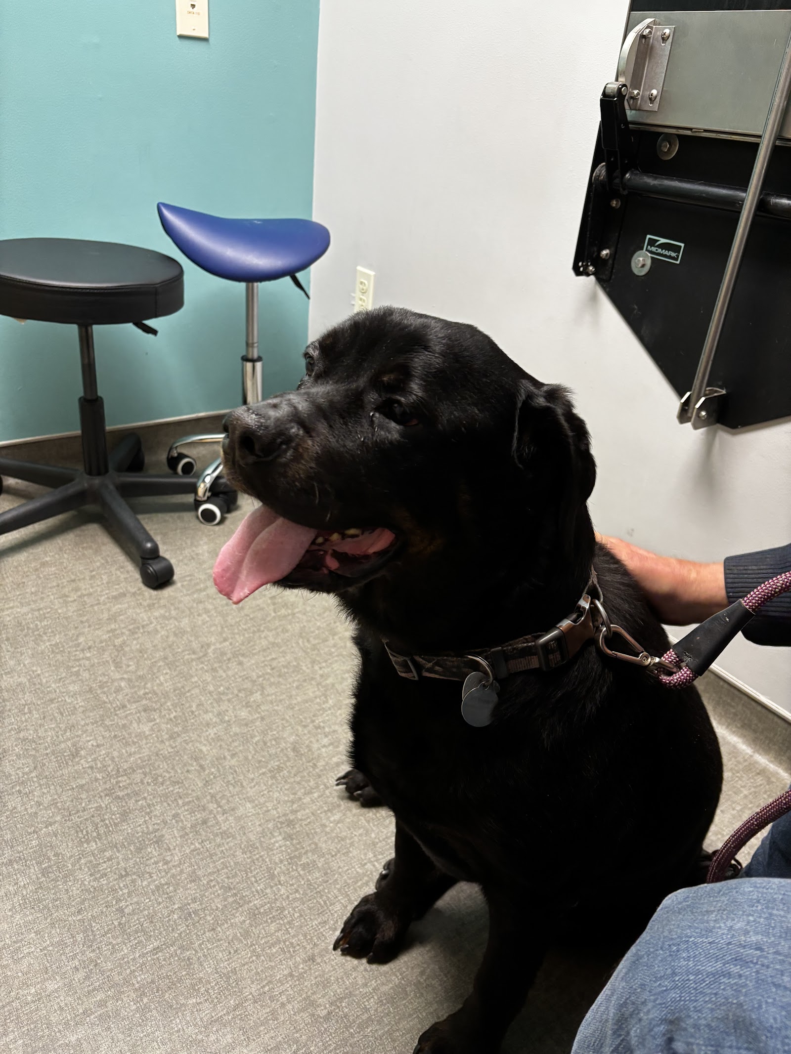 Veterinary Referral Center (VRC)
