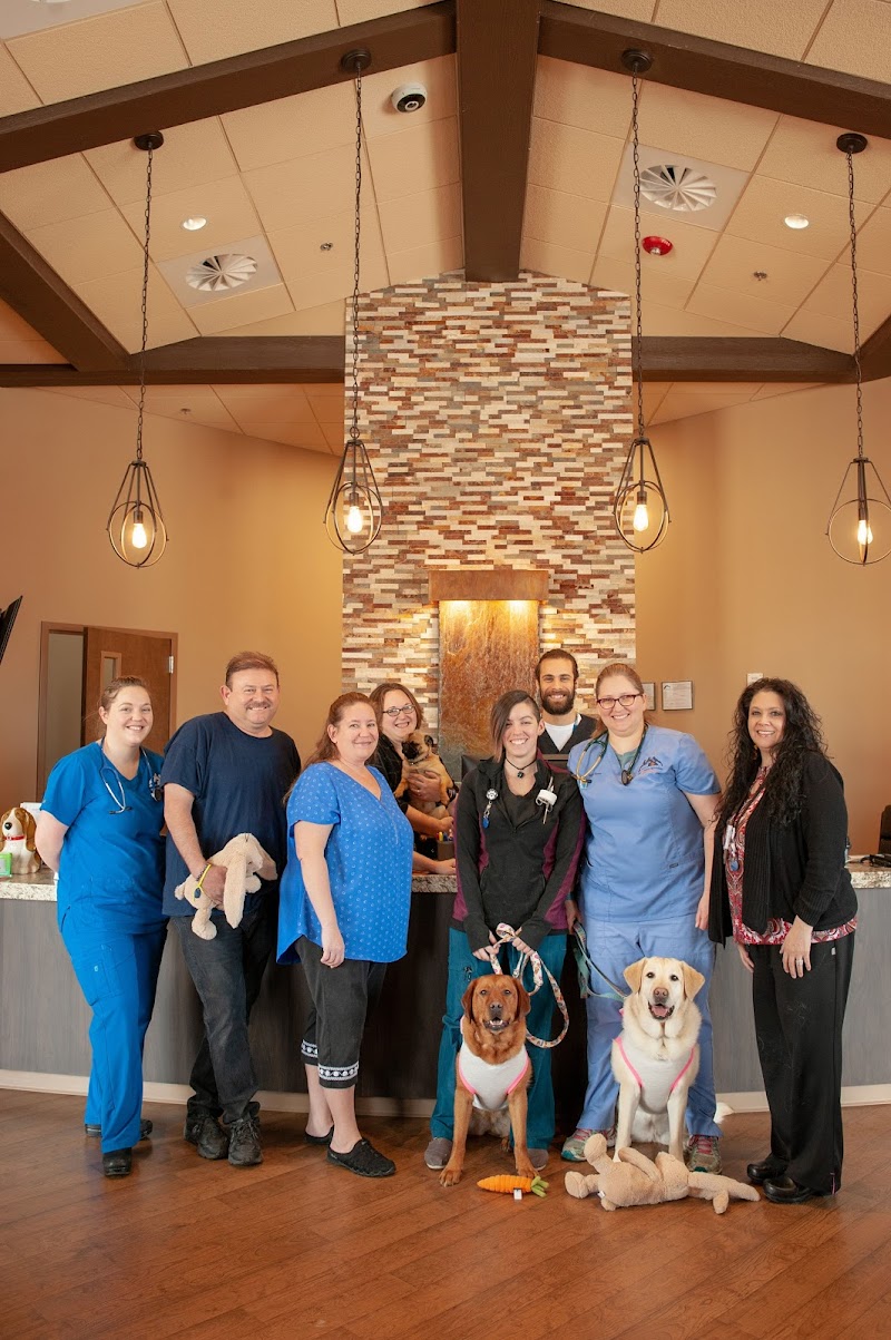 Veterinary Specialists of the Rockies photo 2