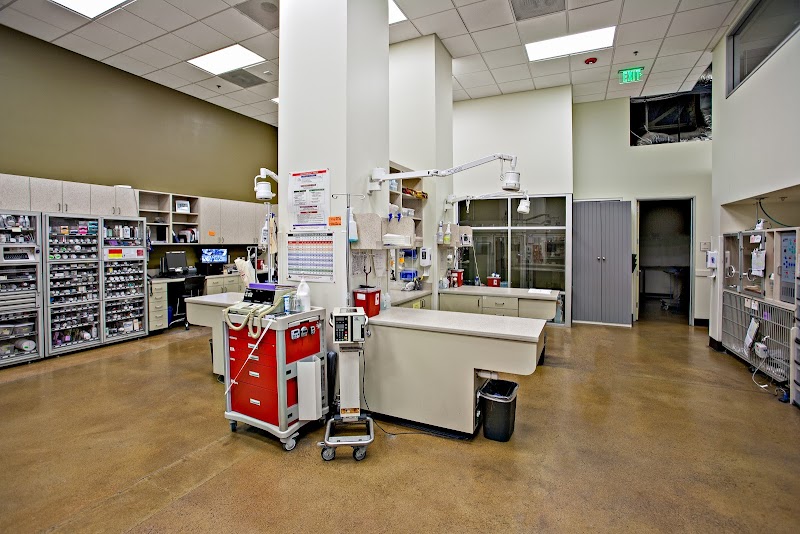 Veterinary Specialty Hospital - North County photo 2