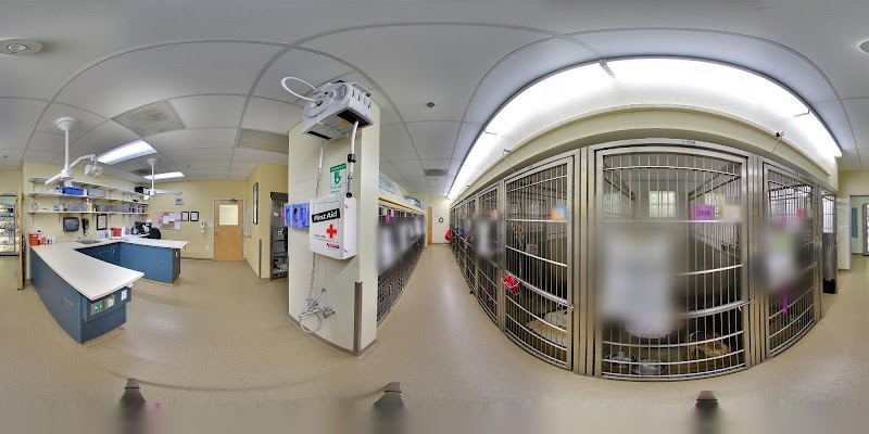 Veterinary Specialty Hospital - Sorrento Valley photo 3