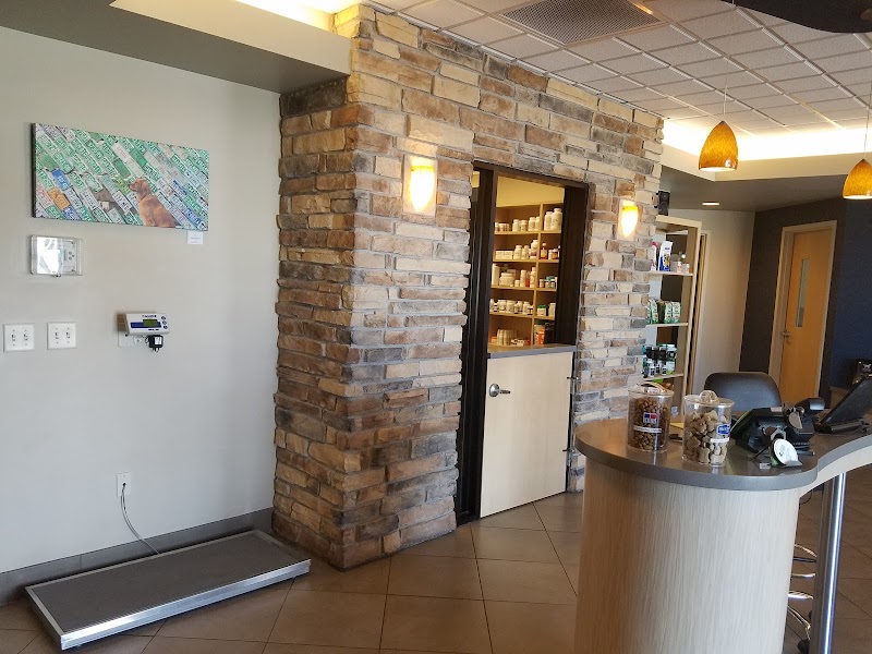 VIDA Veterinary Care - Denver photo 3
