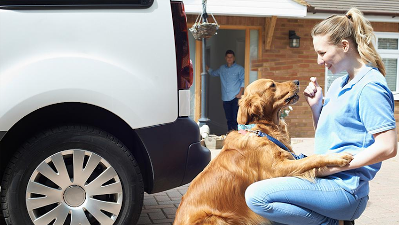 VIP Pet Transportation