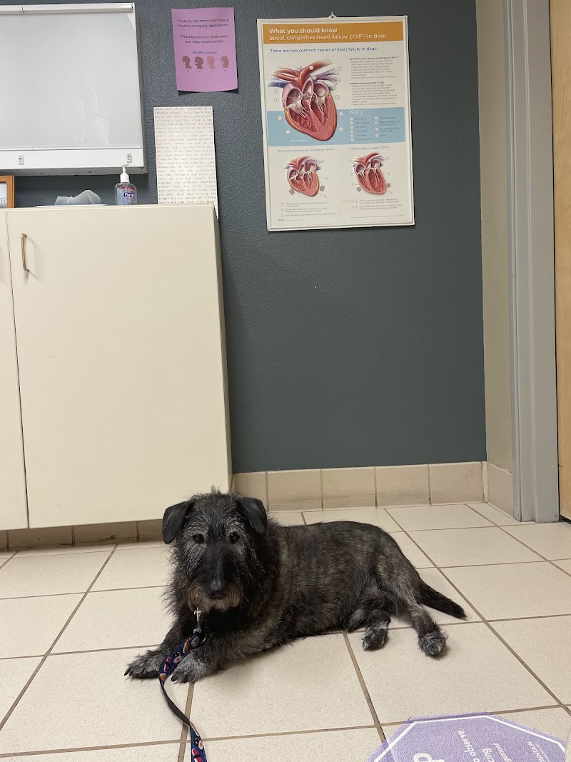 VRCC Veterinary Specialty and Emergency Hospital photo 2