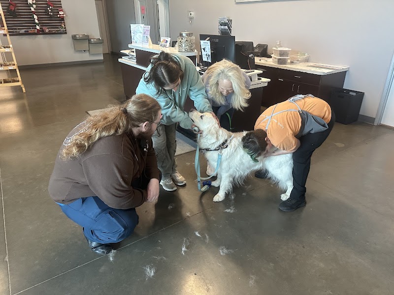 Wag Hotels - Denver photo 3