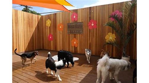 Wag Hotels - Hollywood