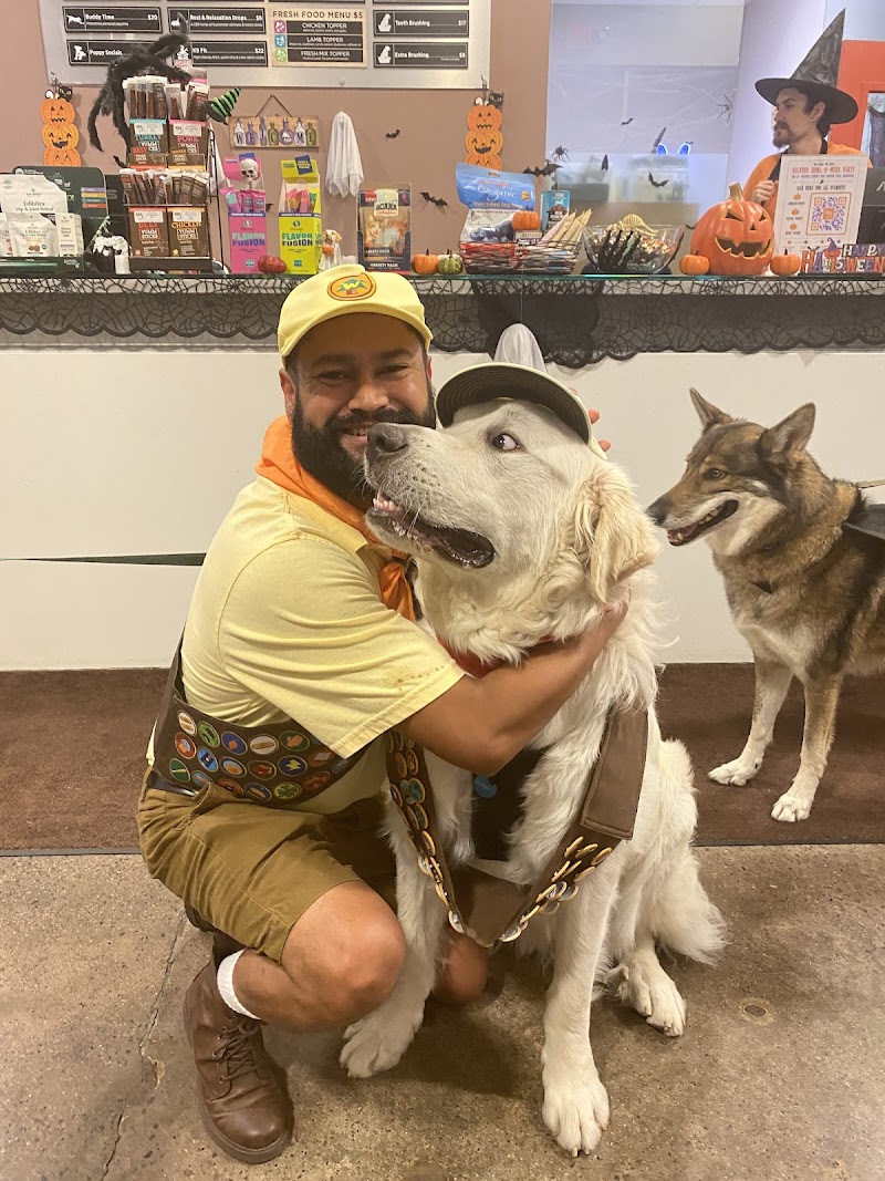 Wag Hotels - San Diego