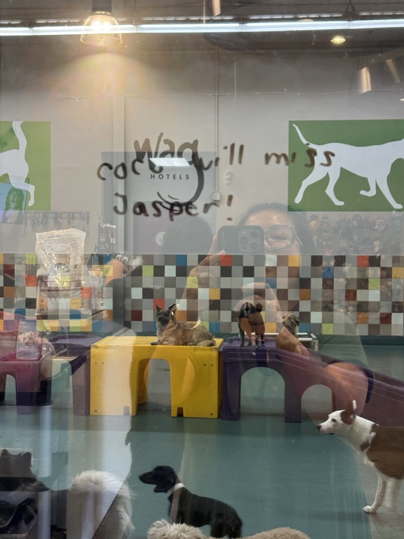 Wag Hotels - San Diego photo 2