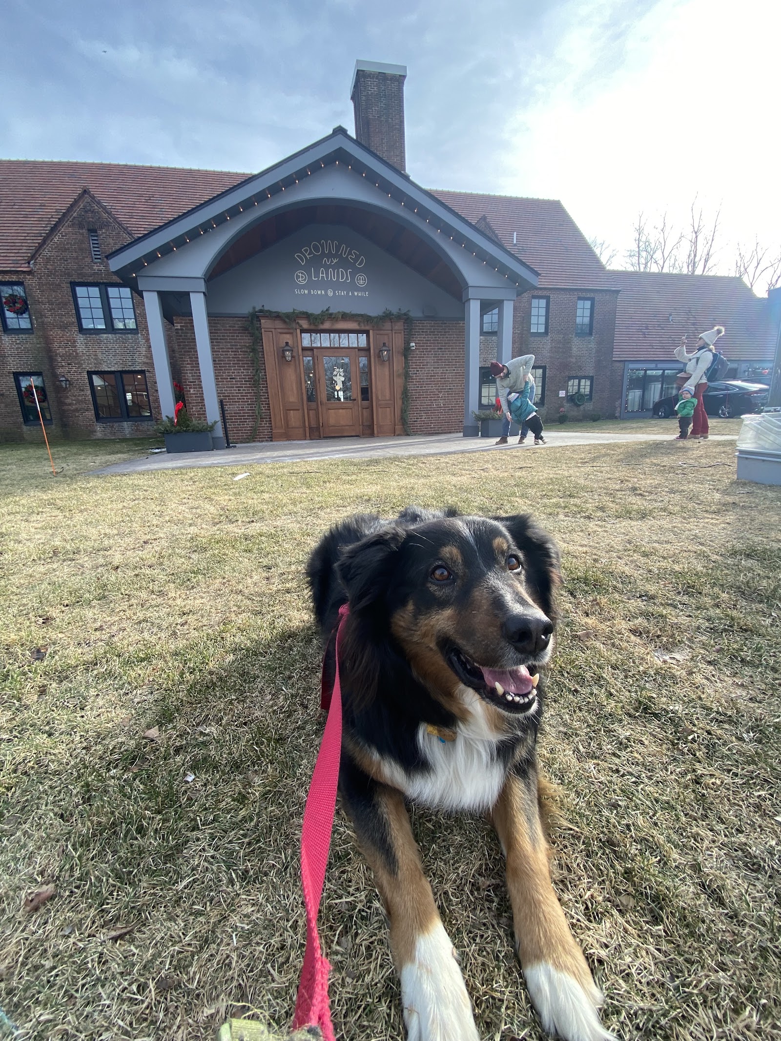 Wag the Dog NYC--Urban Dog Training