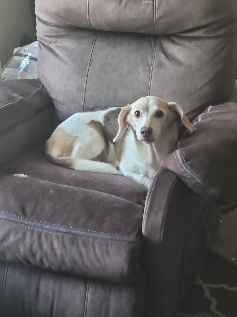 Waggy Tails Pet Care photo 2