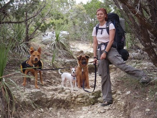 WAGS Dog Walking + Pet Sitting
