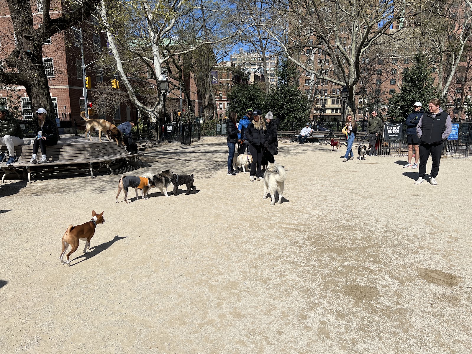 Washington Square Park Dog Run